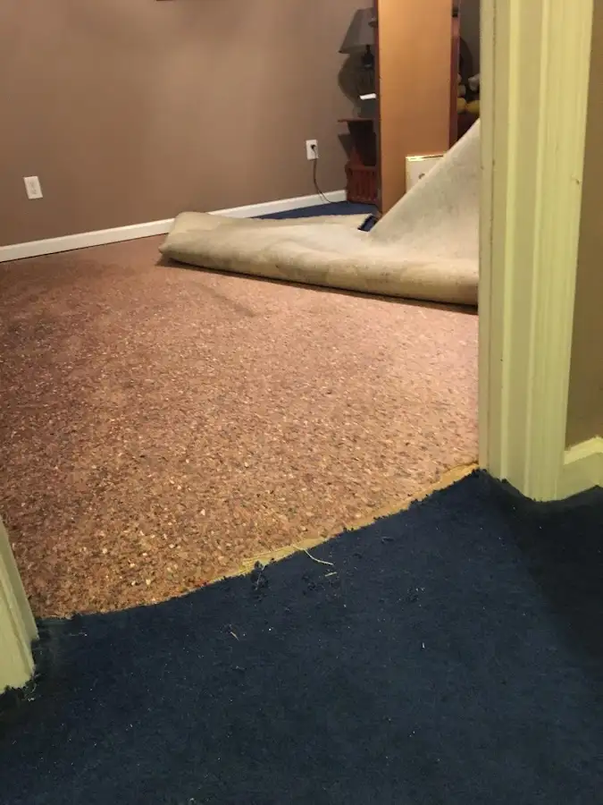 Carpet pad removal revealing water damage during Drying & Dehumidification in Berwyn
