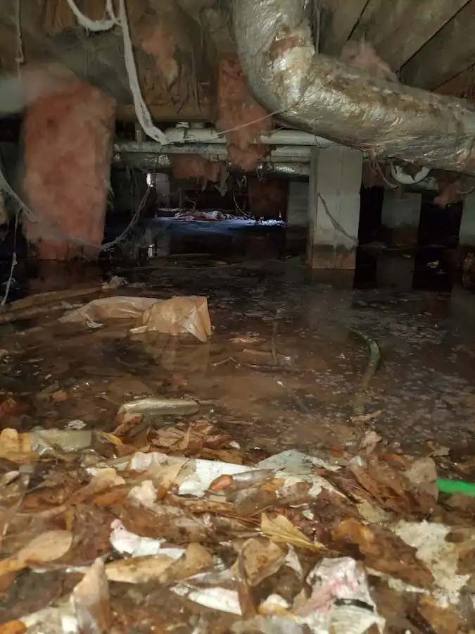 Crawl space flood assessment for Commercial Water Damage Restoration in Berwyn
