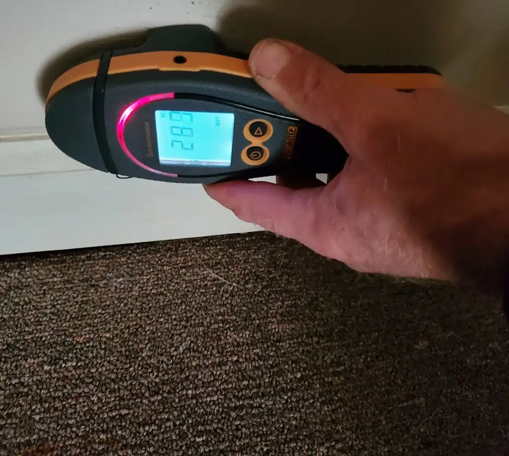 Moisture detection at baseboard during Sewage Cleanup & Sanitation in Berwyn